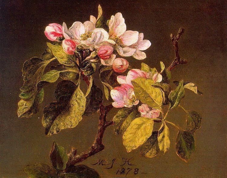 Martin Johnson Heade Apple Blossoms
